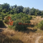 Парцел в кв.Владислав Варненчик, м-н Балам Дере - 0