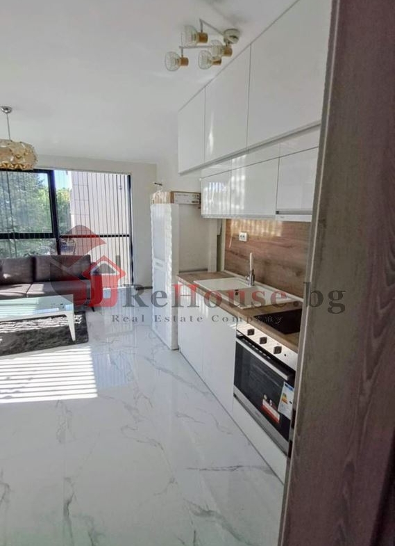 569